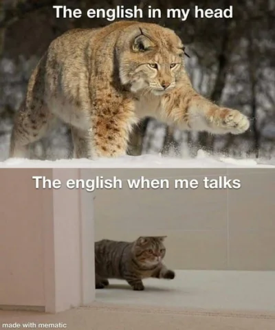 CulturalEnrichmentIsNotNice - @NieznajomyUBram: Ja znam troszkę angielski (nauczyłem ...