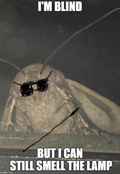 adalovelace - @koneserprogresywnego_discopolo: