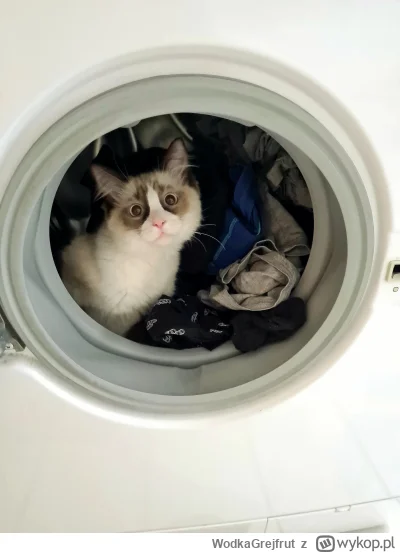 WodkaGrejfrut - @Rabusek o, gdzie się wybieracie?