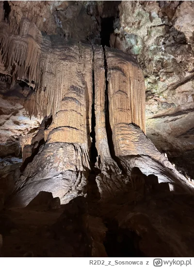 R2D2zSosnowca - @R2D2zSosnowca ogólnie majestat tej Kasinki przypomina mocno katedrę
