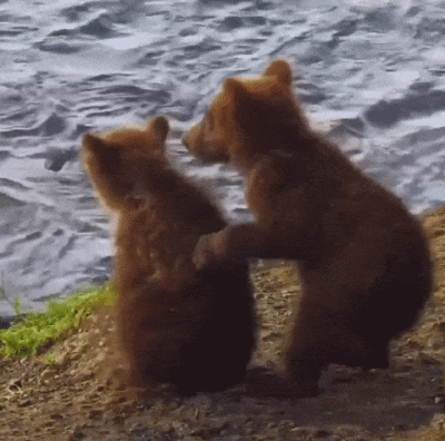 wfyokyga - Dobranoc nom