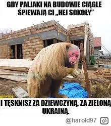 harold97 - #ukraina #humorobrazkowy #małpaukrainiec