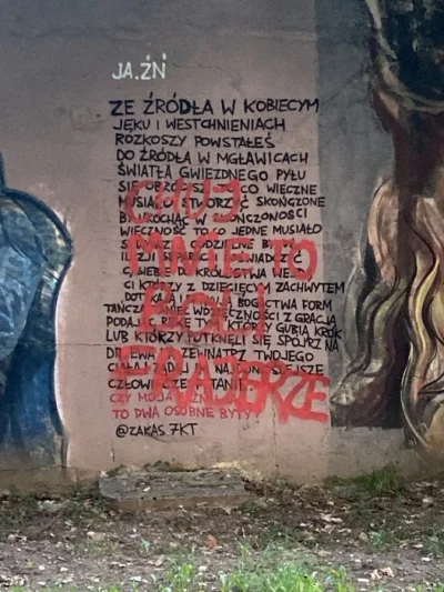 SzycheU - #graffiti #polska #feels
