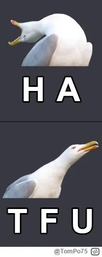 TomPo75 - Banda idiotow z IQ pantofelka wynajetych by prowokowac i rozwalic demonstra...