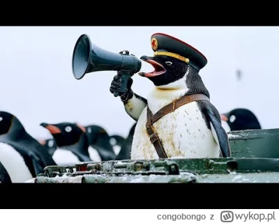 congobongo - https://youtu.be/HJ8qGOe2K0o?si=KiBLC1Jns3DAHajU

#trump #geopolityka