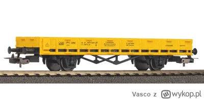 Vasco - A wystarczyło przed lokomotywą podpiąć wagon platformę który będzie czyścił d...
