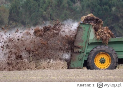 Kieranz - Widziałem desant r0syjkiego VDV na polskiej ziemi (pic rel), a w mediach ci...
