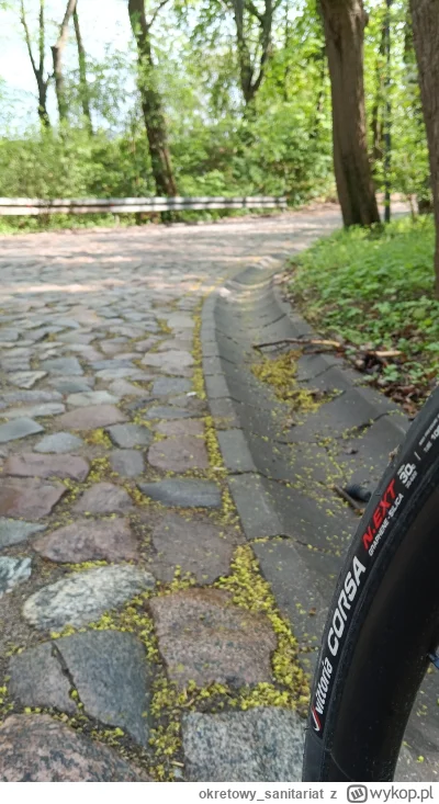 okretowy_sanitariat - 87 829 + 34 = 87 863

Poszedłem podjechać po mokrym bruku, żeby...