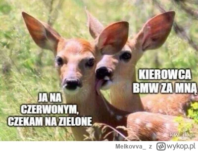 Melkovva_