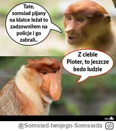 Somsiad-twojego-Somsiada - #heheszki
Memy o Januszu