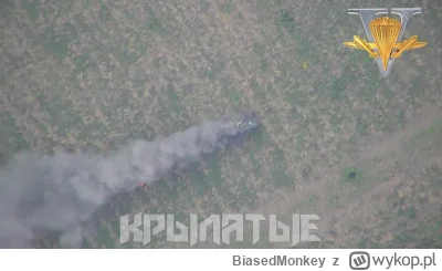 BiasedMonkey - #ukraina #wojna #rosja 
Barachło-dron Lancet kontra ukraiński system p...