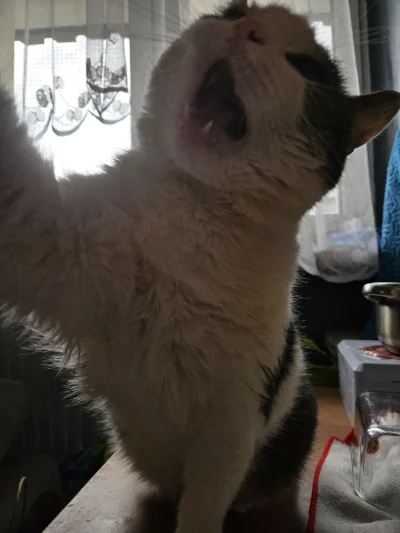 Solsith - @Kibic_eklapy: (づ•﹏•)づ