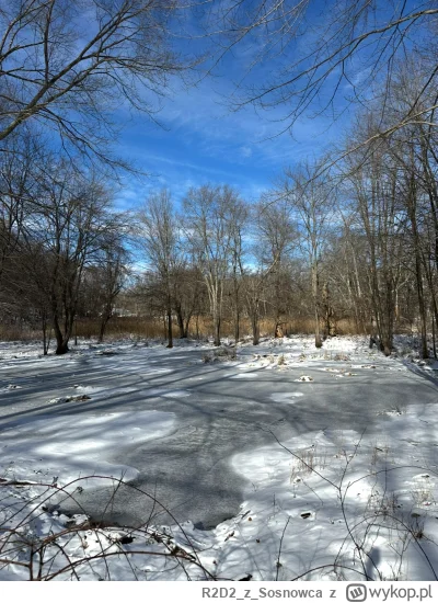 R2D2zSosnowca - @R2D2zSosnowca bagienko styczniowe