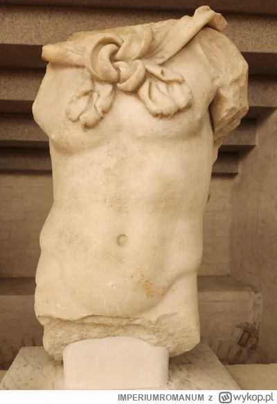 IMPERIUMROMANUM - Rzeźba ukazująca tors Herkulesa

Rzeźba ukazująca tors Herkulesa. O...
