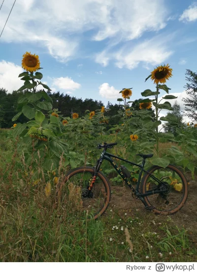 Rybow - @amiga500 znam to. Mieszkam w Warszawie i do tej pory miałem enduro na góry i...