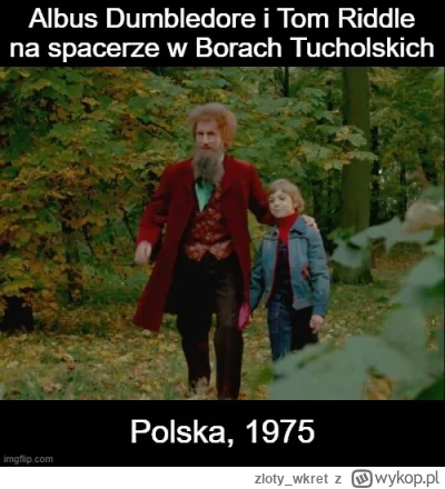 zloty_wkret - #harrypotter