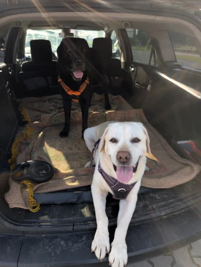 Fikster - @Mawid_Dotyka: brakujący element do mojej kolekcji