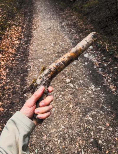 Atreyu - Z takim patykiem od razu bezpieczniej w #las 

#patyk #logikaniebieskichpask...