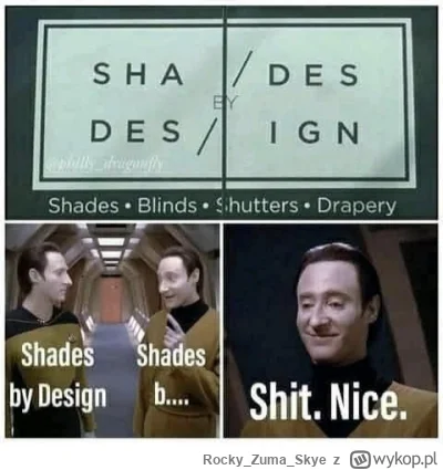 RockyZumaSkye - #heheszki #humorobrazkowy #lagadyga