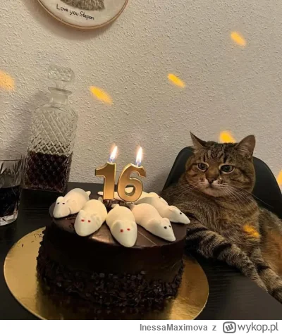 InessaMaximova - Mirki i mirabelki, w dniu 05.03.2025 r. Stepan obchodził swoje 16 ur...