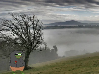 PorzeczkowySok - widziałem dzisiaj małą rzabkę, skakała sobie