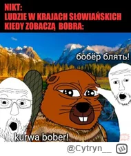 Cytryn_ - @wsciekliznairl: