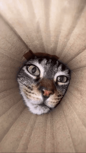 jestemtakizmeczony - @jestemtakizmeczony: