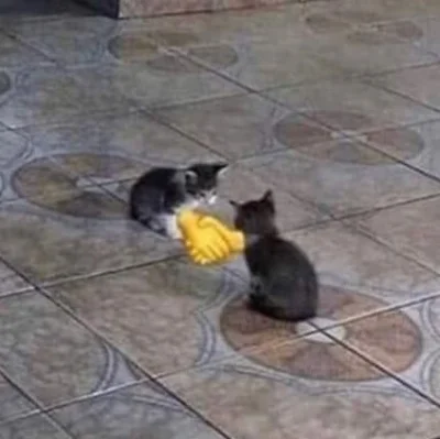 psspspspsp - @wiszal: dzięki