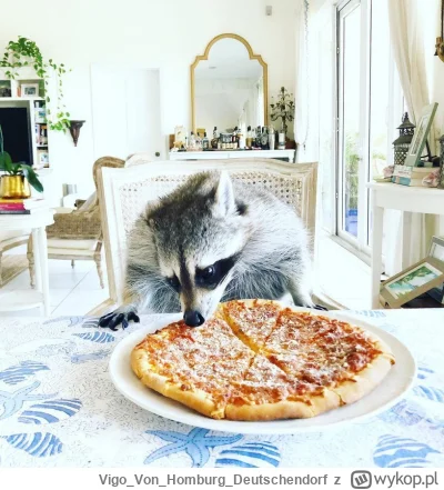 VigoVonHomburg_Deutschendorf - Ale taką piccunię to bym aż aż
#szopeknadzis