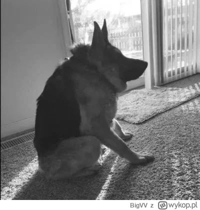 BigVV - #mecz patrzę a tu Ez Abde z golem ( ͡° ͜ʖ ͡°)