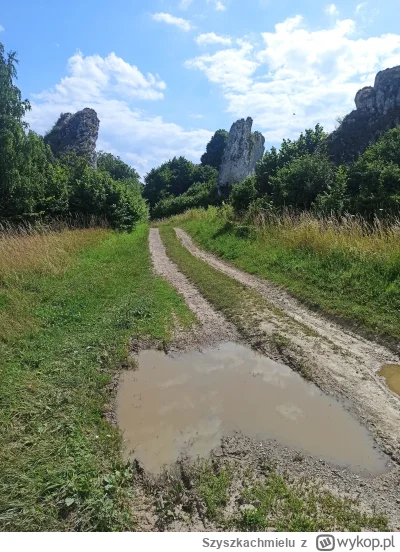 Szyszkachmielu - 469 266 + 75 + 16 + 15 + 15 + 15 = 469 402

DPD plus wypad w okolice...