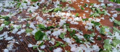 powsinogaszszlaja - @powsinogaszszlaja: