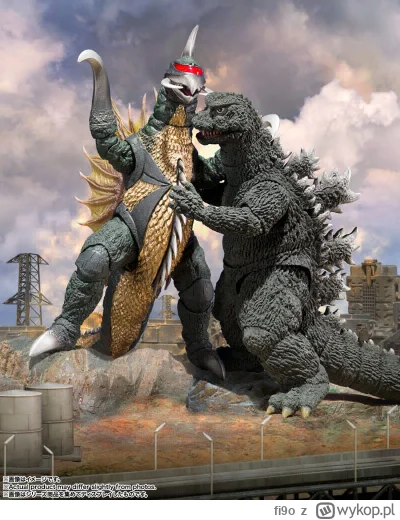 fi9o - Numer trzynaście i to na dziś koniec dla mnie ( ͡° ͜ʖ ͡°)

Godzilla vs Gigan.
...