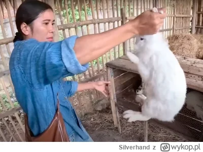 Silverhand - Czemu ta małpa hitlerowska znęca się nad królikiem, przenosząc go w zły ...