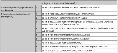 need_some - "Zakup jachtu motorowego w celu wprowadzenia i rozszerzenia działalności ...