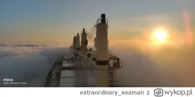 extraordinary_seaman - #codziennywschodslonca

Witam. Niestety powieka mi opadła, i p...