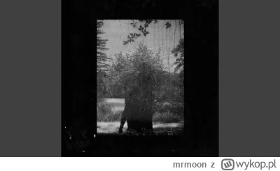 mrmoon - Grouper - Call Across Rooms

 #pianino #dreampop #minimalizm #grouper