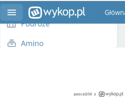 pascal256 - #mangowpis Exploit na buga wypoku, pozwalający na przesunięcie customowyc...