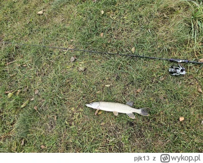 pjk13 - 3h nad wodą i 2 szczupaczki

#wedkarstwo