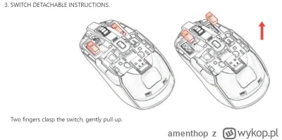amenthop - ciekawe, instrukcja pokazuje troche inny typ switcha ...
