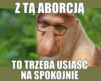 Krs90 - #sejm #polityka #holownia #bekazlewactwa #aborcja