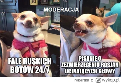 robertkk - Wyplusujcie na główną, może się ogarną..

#ukraina #rosja #moderacjaconten...