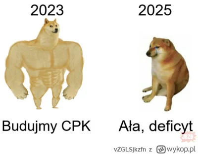 vZGLSjkzfn - Po co nam lotnisko skoro jest w Berlinie?

#polityka
