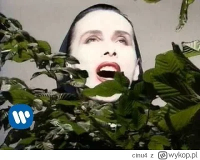 cinu4 - #pogoda #muzyka #maanam