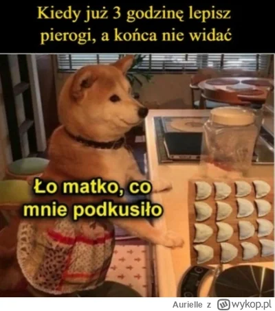 Aurielle - Ehh, pewnie jak zwykle przesadzę xD

#logikarozowychpaskow #gotujzwykopem ...