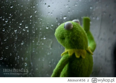 Akinori456 - Život je na hovno...

#przegryw #przegrywpo30tce #gehenna #depresja #sam...