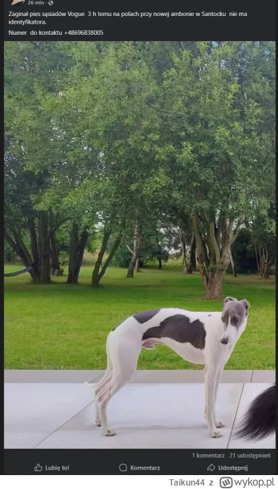 Taikun44 - Dajcie spokój, kiedyś był reksio albo azor a teraz takie imiona że człowie...