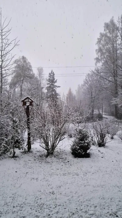 Atreyu - Zaczęło się [*] ❄️❄️❄️

#z-------------j #z-------------j #widokzokna #zales...