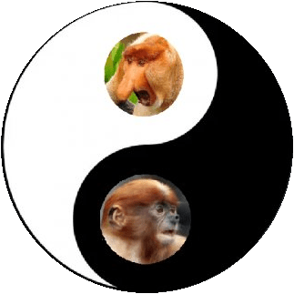 JatuArmy - Życia cud

#konkursnanajbardziejgownianymemznosaczem