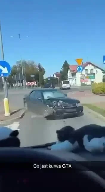 sloniasek - Gta w Darłowie